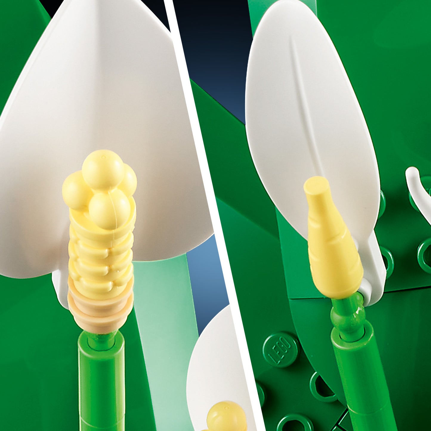 LEGO® Botanicals Lepelplant Bloemendecoratie - Bouwset voor Volwassenen - Cadeautip 11504