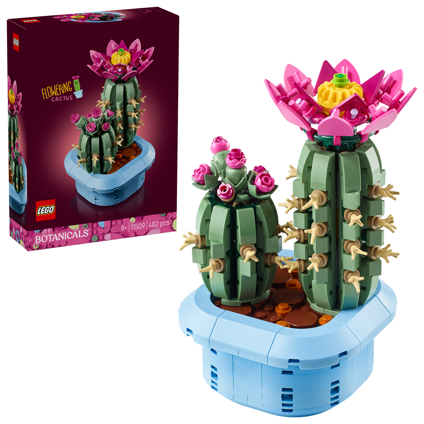 LEGO Botanicals Bloeiende Cactus Planten Decoratie Bouwpakket voor Kinderen 11509