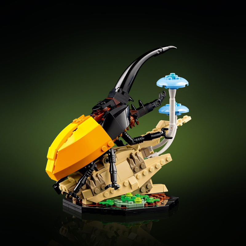 LEGO De insectencollectie 21342 Ideas LEGO IDEAS @ 2TTOYS LEGO €. 84.99