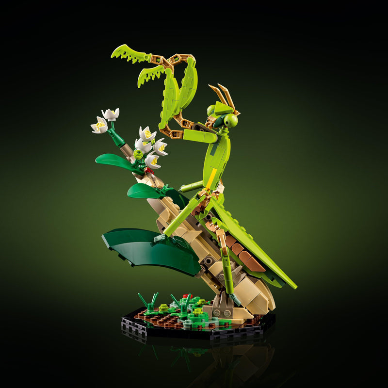 LEGO De insectencollectie 21342 Ideas LEGO IDEAS @ 2TTOYS LEGO €. 84.99