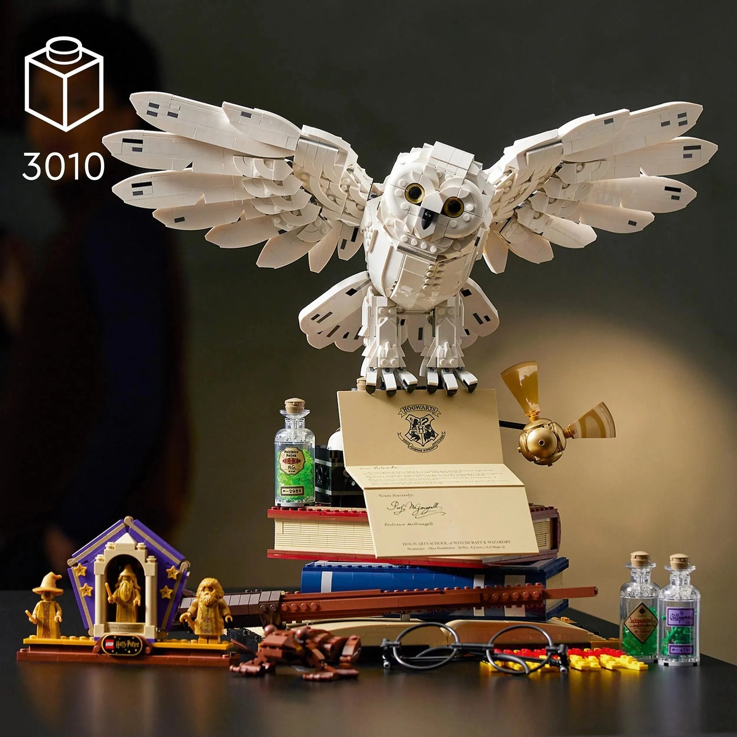 LEGO Zweinstein Iconen 76391 Harry Potter (€. 15,00 per week + €. 50,00 borg)