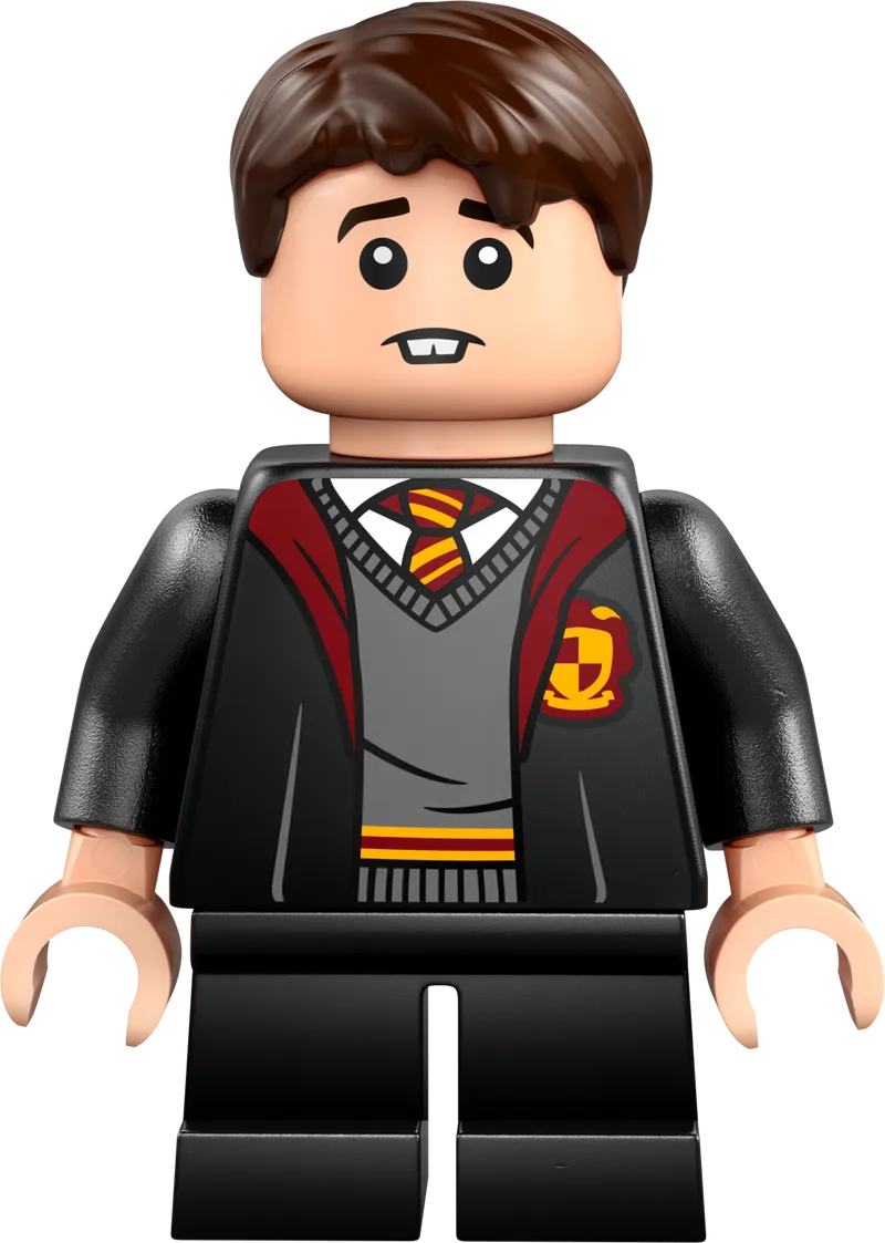 LEGO Flying Lesson at Hogwarts Castle 76447 Harry Potter (Delivery: January 1, 2025)