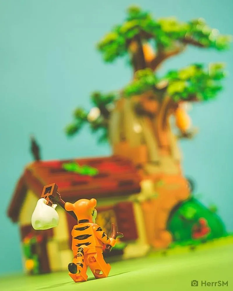 LEGO Winnie the Pooh 21326 Ideas