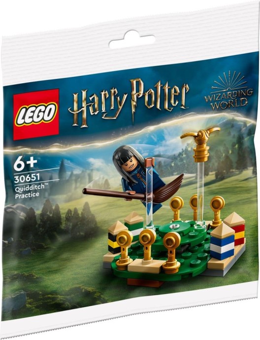 LEGO Quidditch Training 30651 Harry Potter Polybag