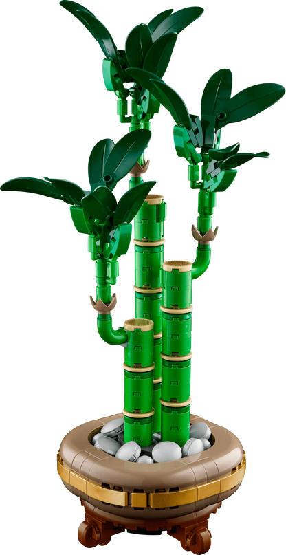 LEGO Geluksbamboe 10344 Botanische Collectie (Levering: Januari 2025) @ 2TTOYS | Official LEGO shop😊🥰 2TTOYS €. 24.99