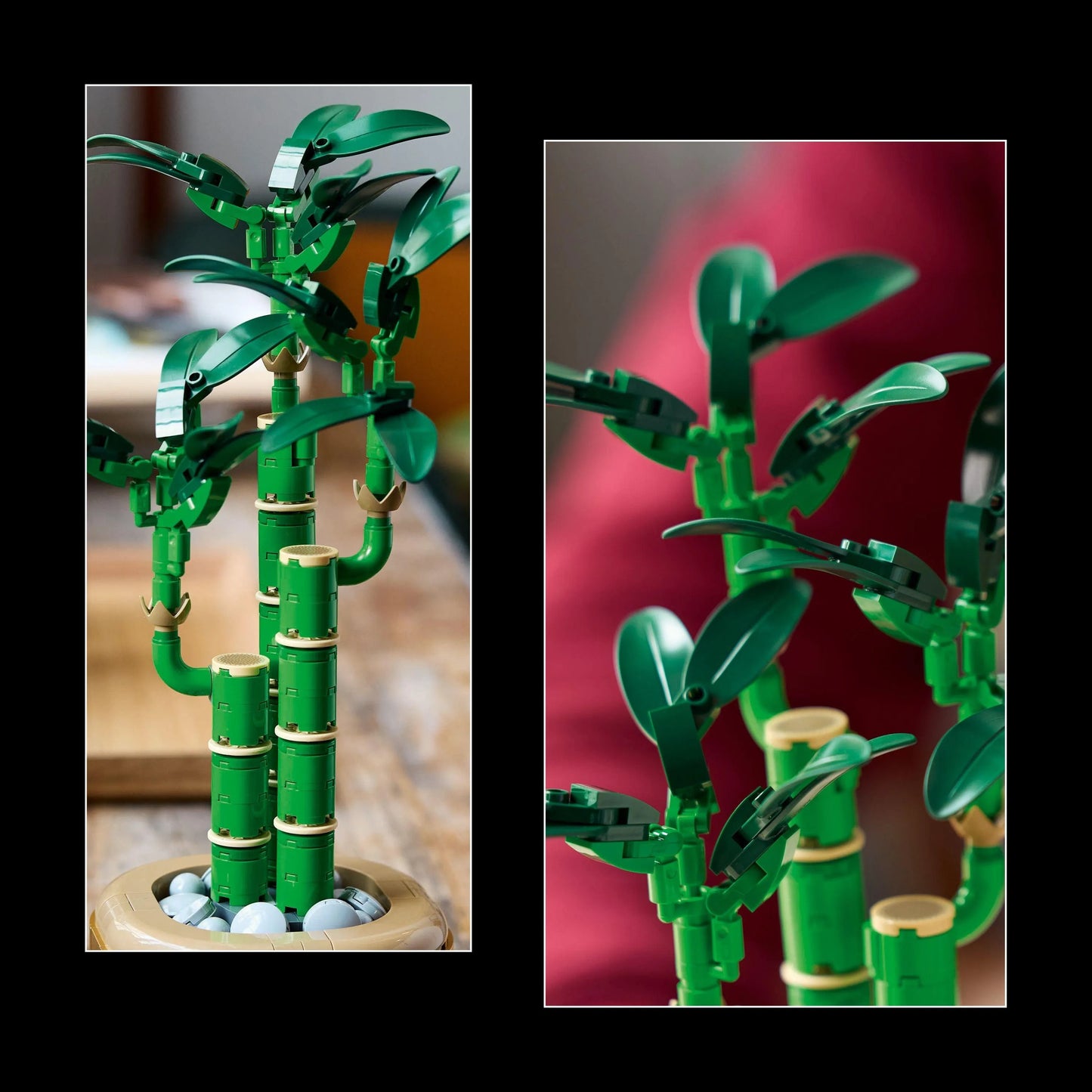 LEGO Geluksbamboe 10344 Botanische Collectie