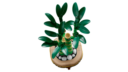 LEGO Geluksbamboe 10344 Botanische Collectie (Levering: Januari 2025) @ 2TTOYS | Official LEGO shop😊🥰 2TTOYS €. 24.99