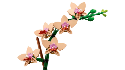 LEGO Mini Orchidee 10343 Botanische Collectie