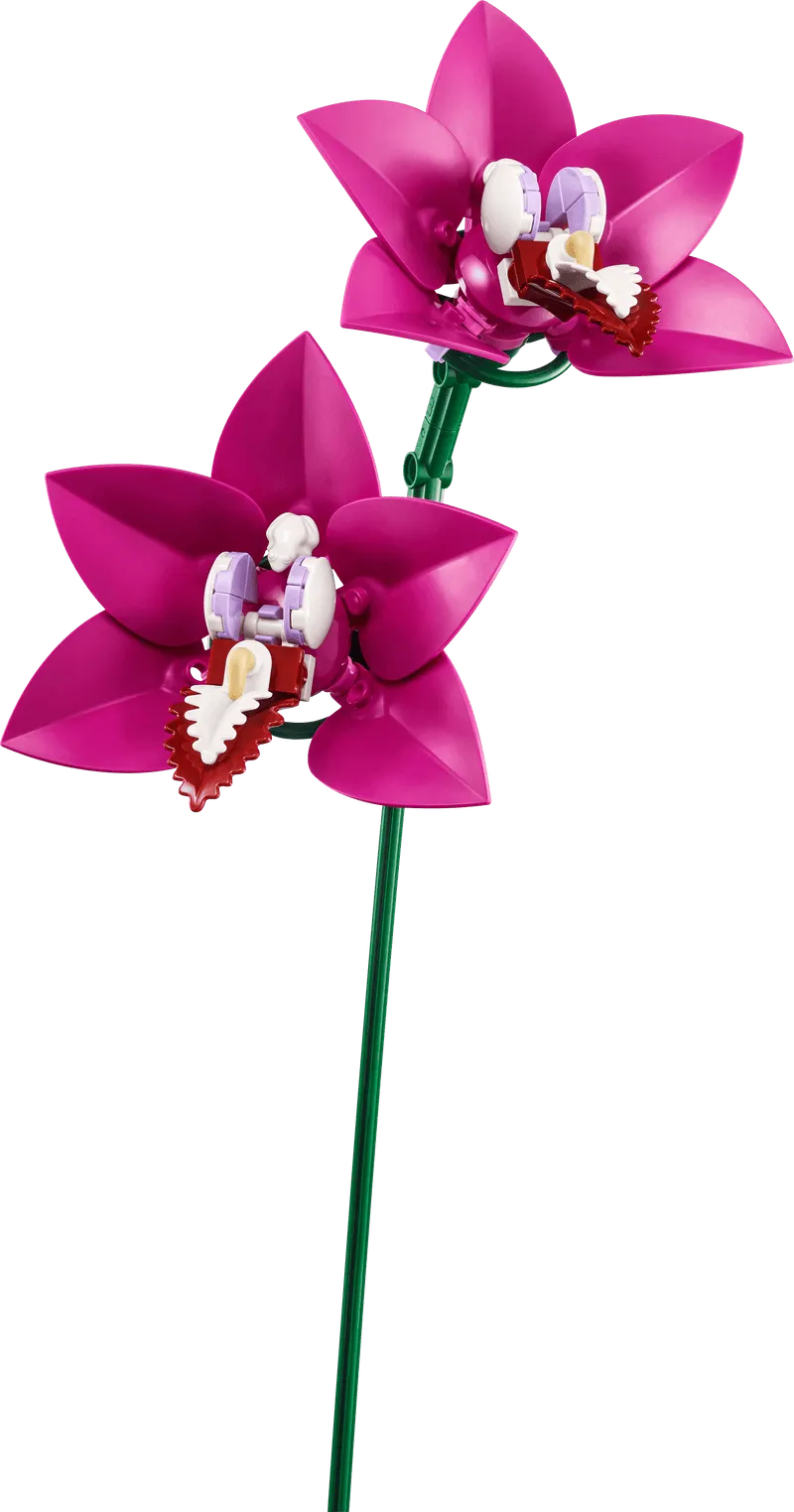 LEGO Roze boeket 10342 Botanical