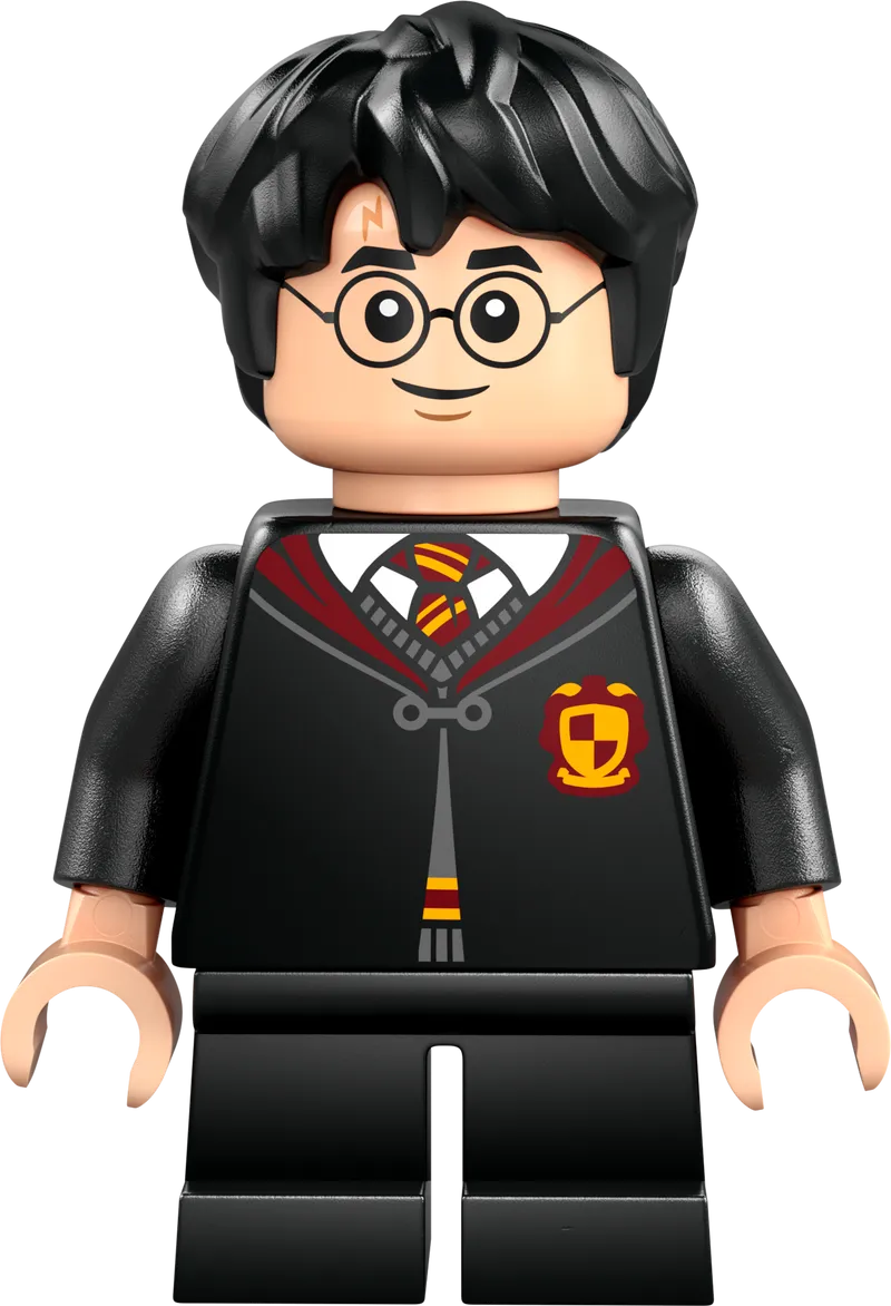 LEGO Flying Lesson at Hogwarts Castle 76447 Harry Potter (Delivery: January 1, 2025)