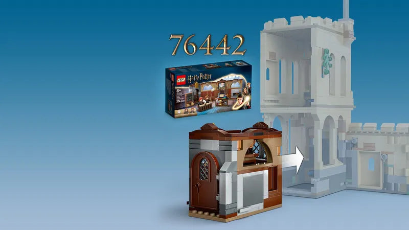 LEGO Flying Lesson at Hogwarts Castle 76447 Harry Potter (Delivery: January 1, 2025)