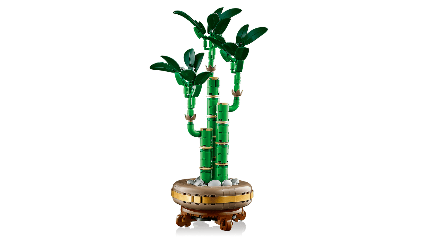 LEGO Geluksbamboe 10344 Botanische Collectie (Levering: Januari 2025) @ 2TTOYS | Official LEGO shop😊🥰 2TTOYS €. 24.99