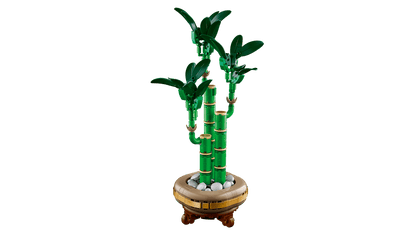 LEGO Geluksbamboe 10344 Botanische Collectie (Levering: Januari 2025) @ 2TTOYS | Official LEGO shop😊🥰 2TTOYS €. 24.99