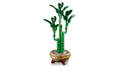 LEGO Geluksbamboe 10344 Botanische Collectie (Levering: Januari 2025) @ 2TTOYS | Official LEGO shop😊🥰 2TTOYS €. 24.99