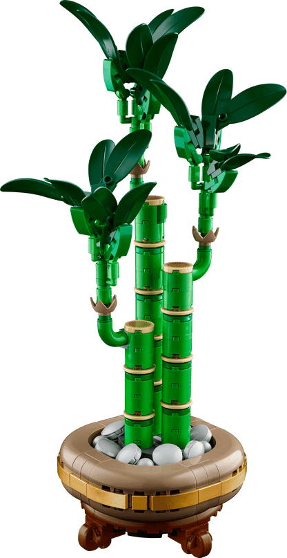 LEGO Geluksbamboe 10344 Botanische Collectie (Levering: Januari 2025) @ 2TTOYS | Official LEGO shop😊🥰 2TTOYS €. 24.99