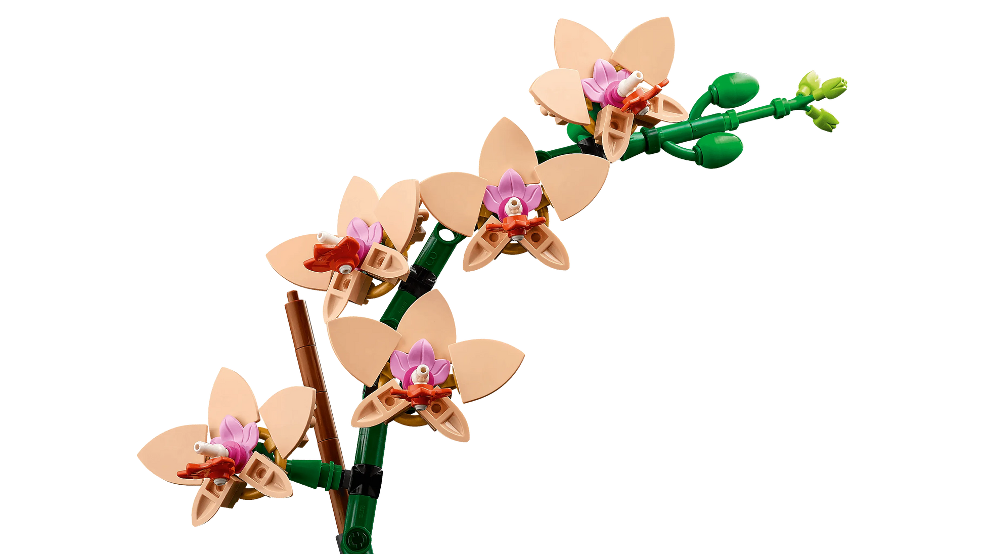 LEGO Mini Orchidee 10343 Botanische Collectie @ 2TTOYS | Official LEGO shop😊🥰 2TTOYS €. 24.99