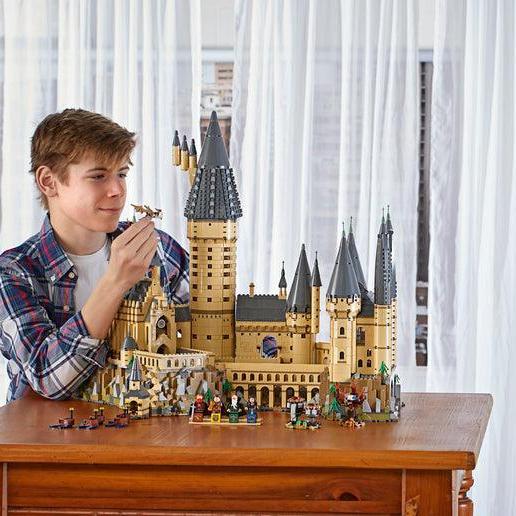 LEGO Het Kasteel Zweinstein met 6.000 stenen 71043 Harry Potter LEGO HARRY POTTER @ 2TTOYS LEGO €. 424.99